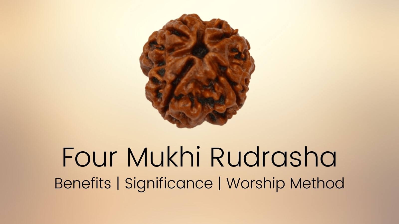 Four Mukhi Rudraksha-Make your mind more powerful: