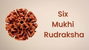 Six Mukhi Rudraksha and its blessings: