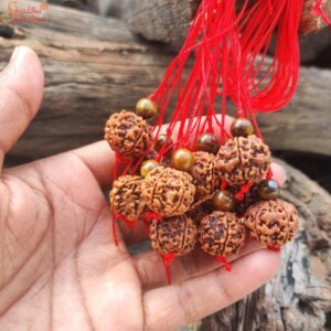 Natural Nepal 5 Mukhi Rudraksha Pendant With Gemstone Beads