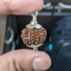 12 mukhi rudraksha pendant