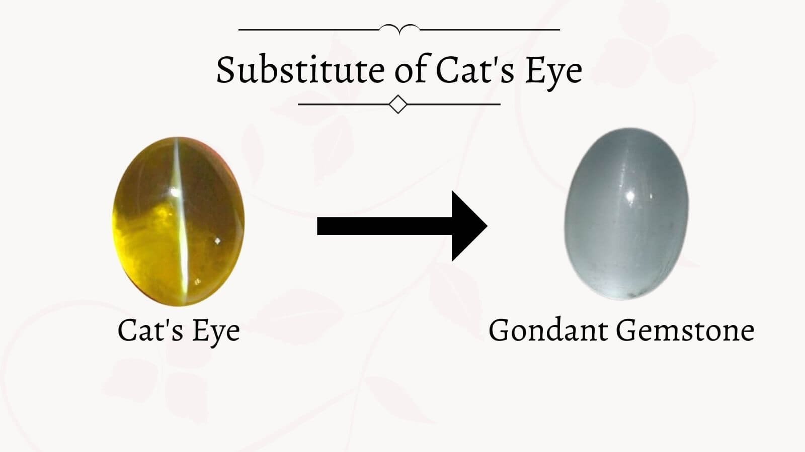substitute of cat's eye